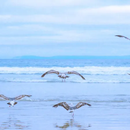 Familiehuis Westenwind - Aan Zee Julianadorp