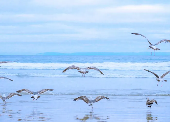 Familiehuis Westenwind - Aan Zee Julianadorp